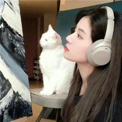 清冷月光坠我心