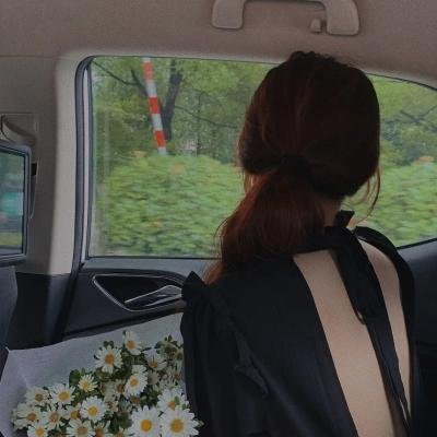 我的小马驹：最棒的礼物